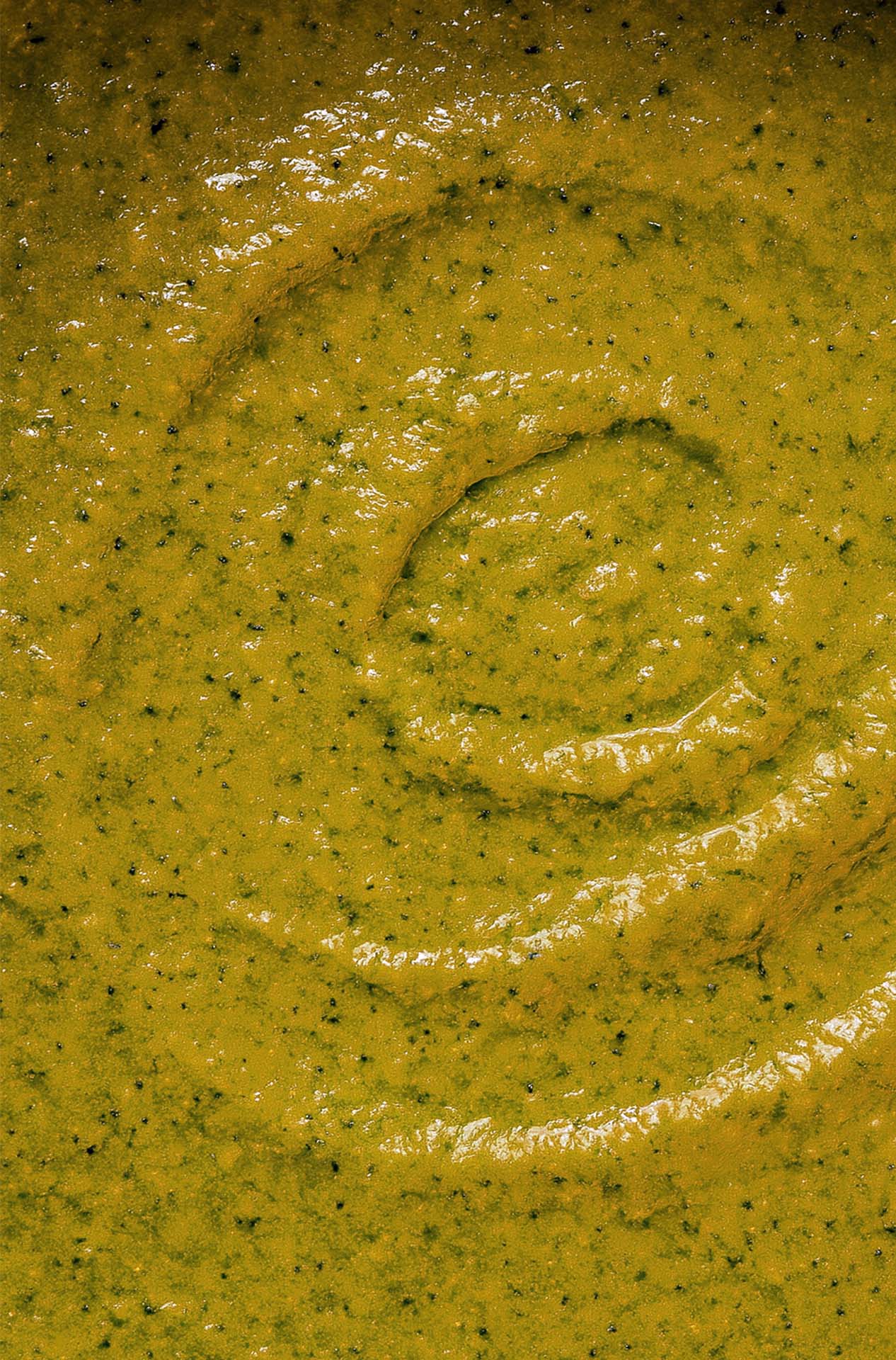 la-pimenterie-salsa-verde-salsa-verte-tomatille-lime-coriandre-jalape-o-et-pobla image 3