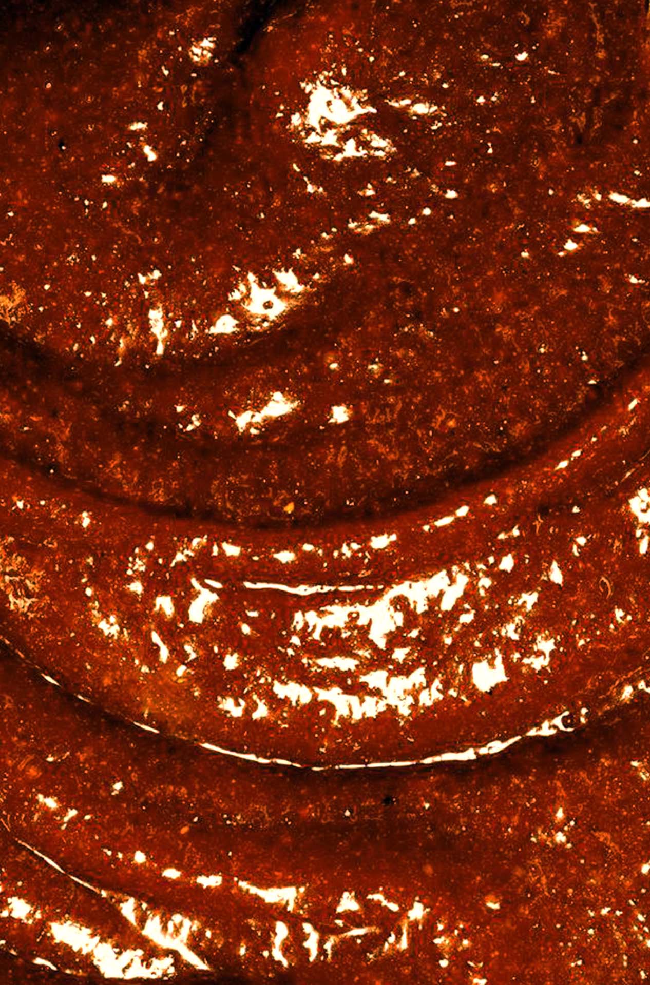 la-pimenterie-san-pasilla-sauce-fum-e-pasilla-habanero-umami image 2