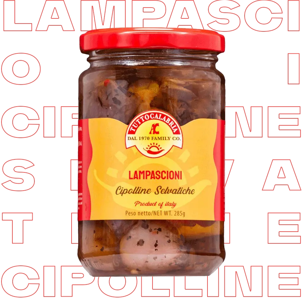 tuttocalabria-lampascioni-cipolline-selvatiche-antipasti-m-diterran-ens image 1
