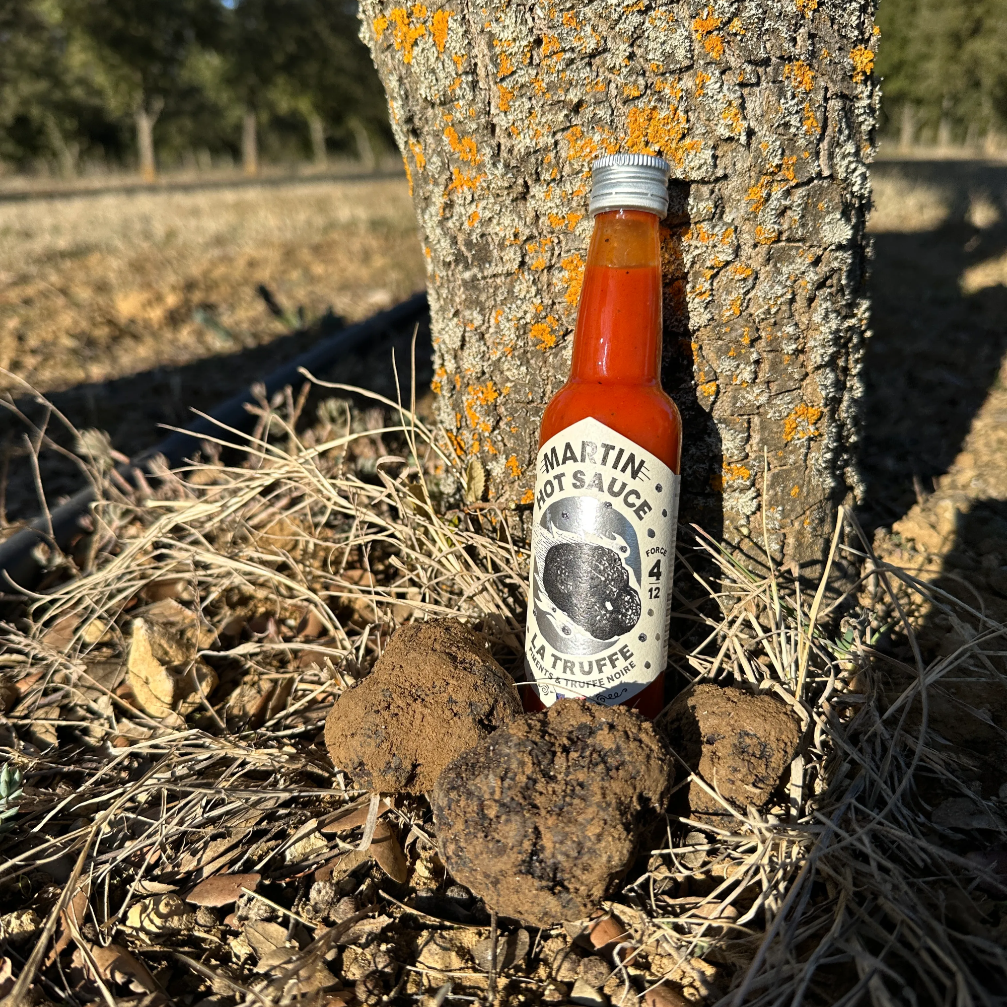 maison-martin-truffe-force-4-12-sauce-piment-picaro-la-truffe-noire image 4