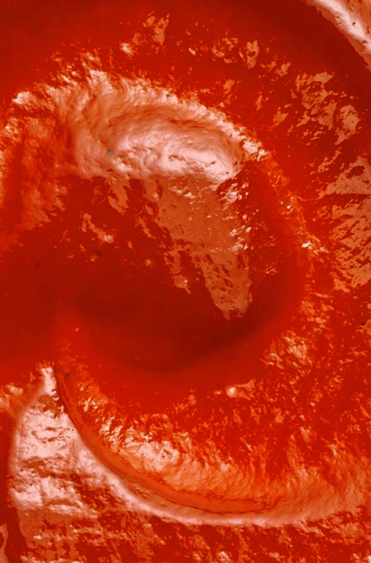 la-pimenterie-ch-ne-r-action-sauce-piquante-cayenne-ferment-au-ch-ne image 2