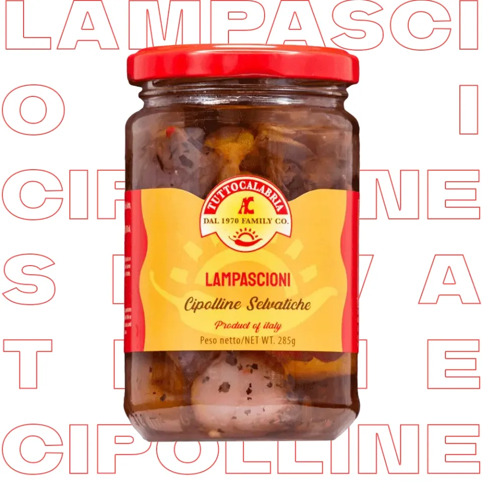 tuttocalabria-lampascioni-cipolline-selvatiche-antipasti-m-diterran-ens image 1